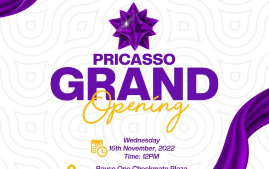 Pricasso Agency to Launch Office in Ibadan